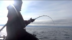 Profesionali žvejyba